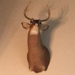 Meet your Posher, Marvin